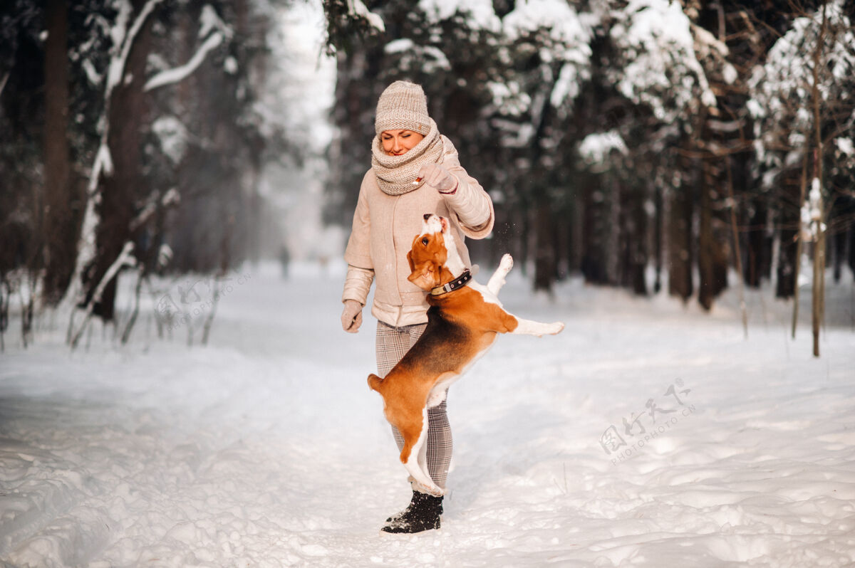 霜冻冬天的一天 一个女人和她的宠物狗小猎犬在冬天的森林里玩耍动物森林雪花
