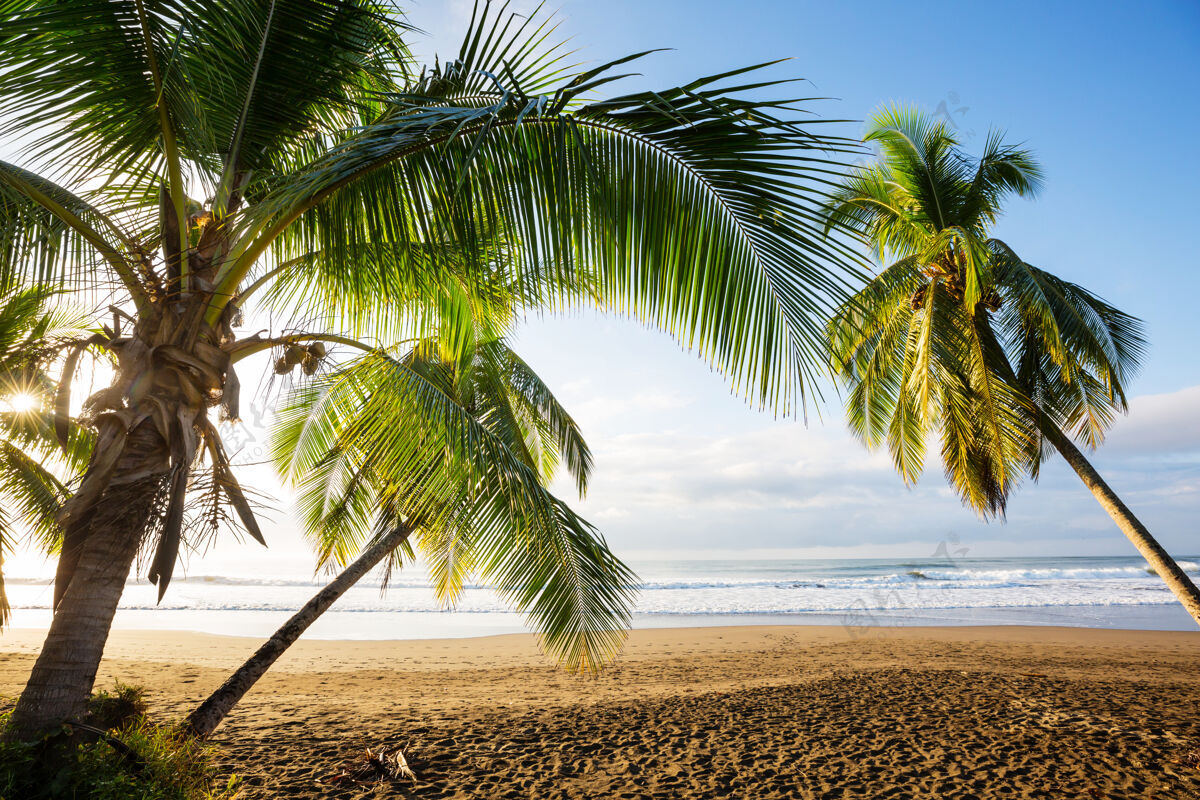 海滩哥斯达黎加美丽的热带太平洋海岸沙漠加勒比海风景