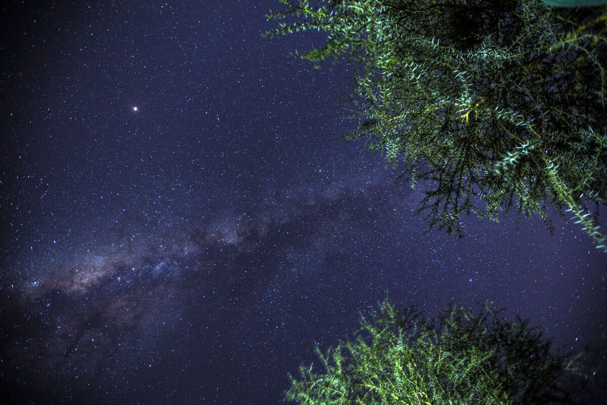 大自然夜晚的银河在奈瓦沙湖晚安肯尼亚!自然 生态 旅游 风景 乡村 目的地 荒野 大草原 保护 饲料 猫科动物 保护区