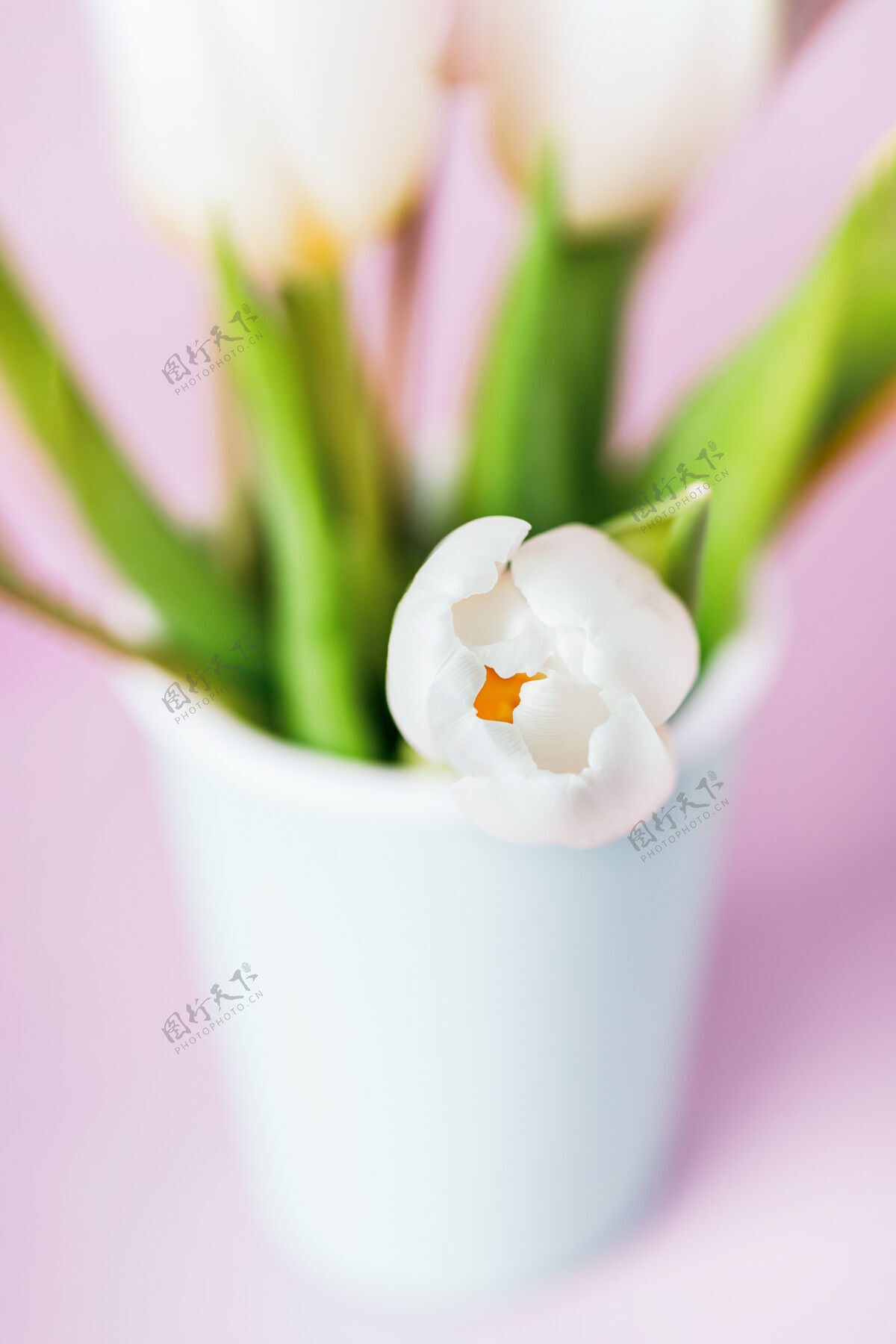 薄荷薄荷色或蒂芙尼色玻璃 白色郁金香 柔和粉色玻璃薄荷色鲜花