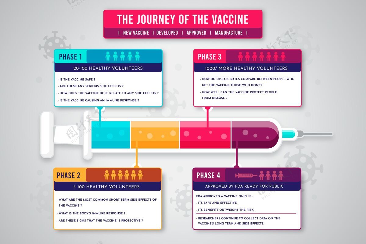 医疗保健扁平冠状病毒疫苗阶段信息图模板大流行流感