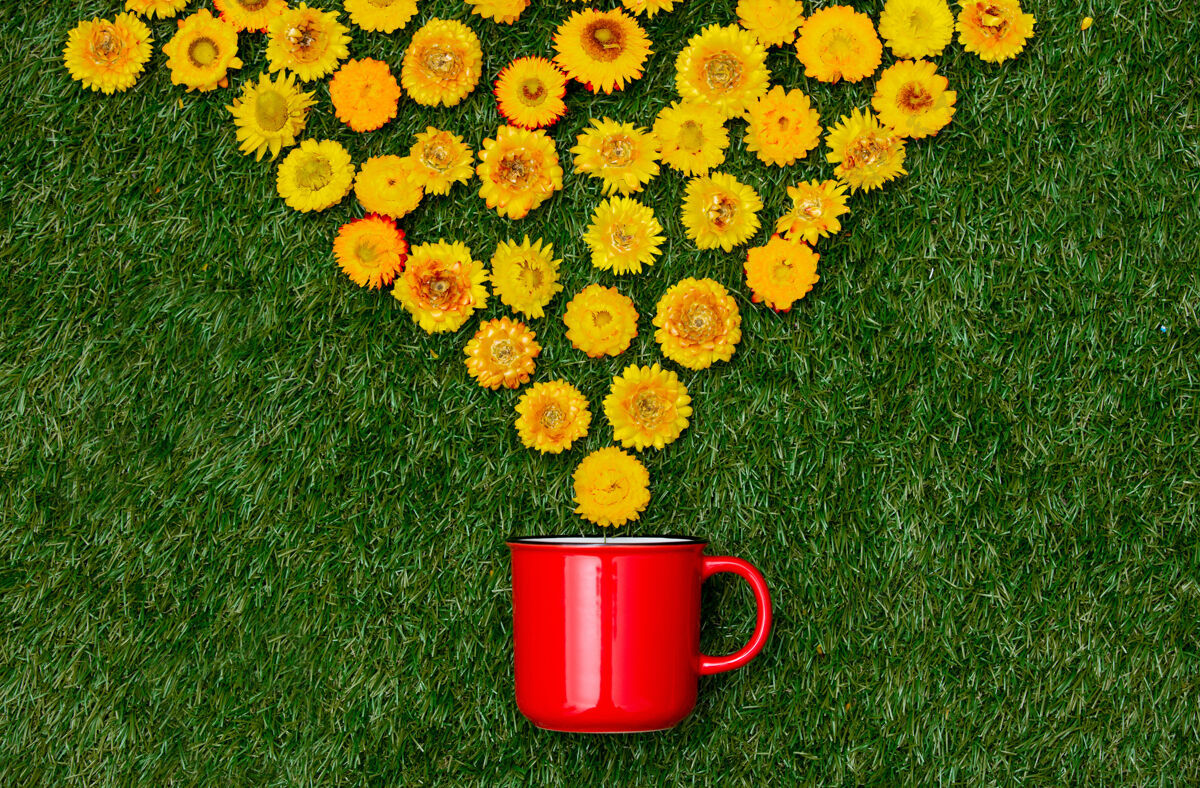 健康蒲公英花和一杯咖啡在绿草上草地壁板自然