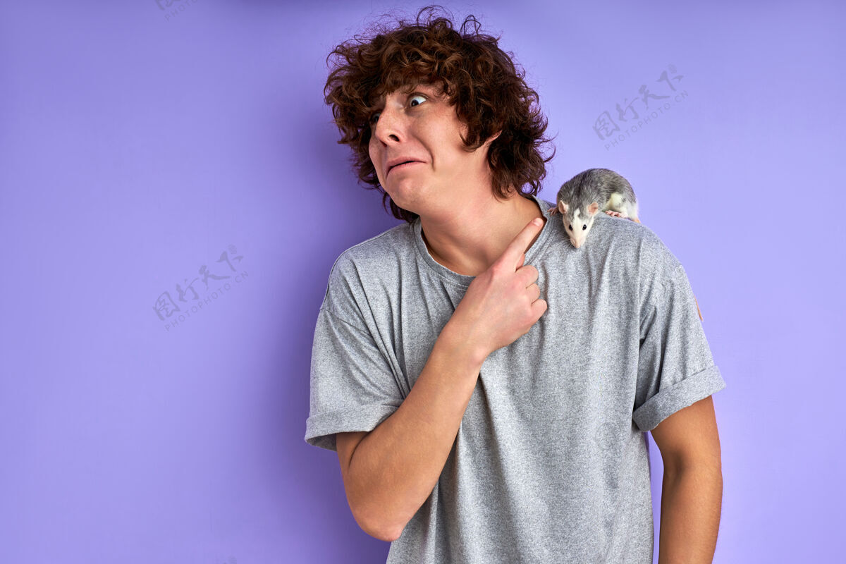 害怕迷茫的雄性食指在老鼠的肩膀上 装饰老鼠爬在他的t恤上 孤立在紫色的背景上捕捉小害怕