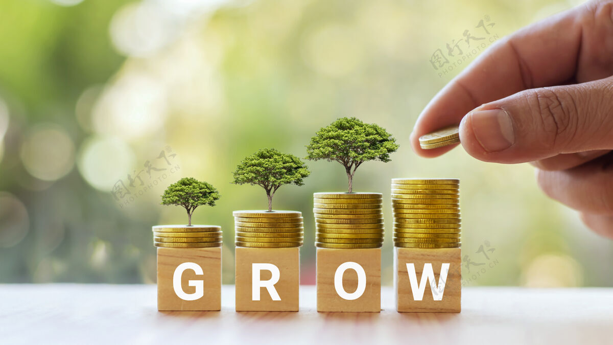 收入树上生长着银币和方形木块 上面写着“长钱”的生长理念货币现金金融