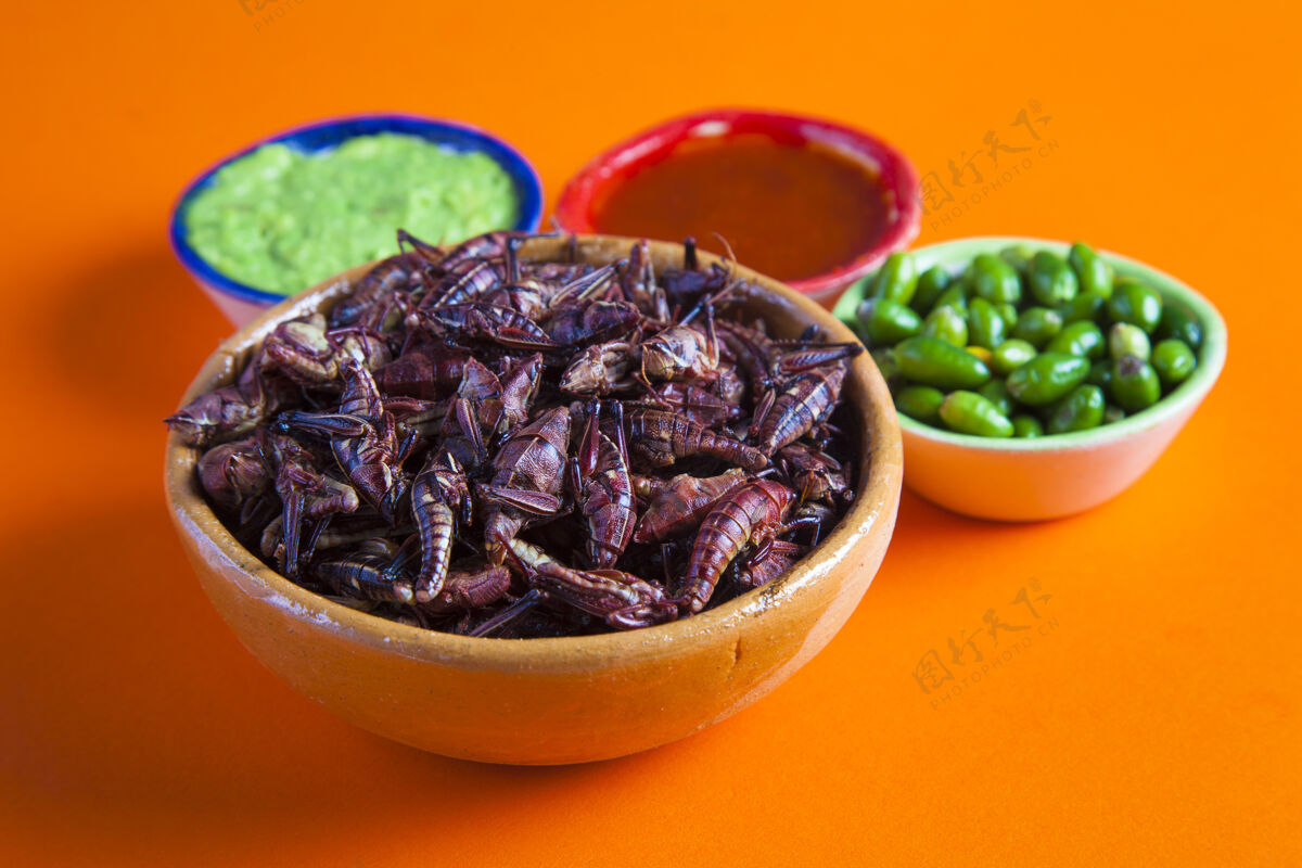 墨西哥食物蚱蜢小吃.传统的墨西哥菜宏蛋白质辣椒