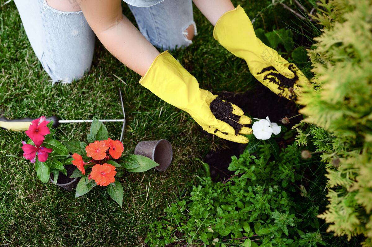 花店戴手套的女人在花园里种花温室工具苗圃