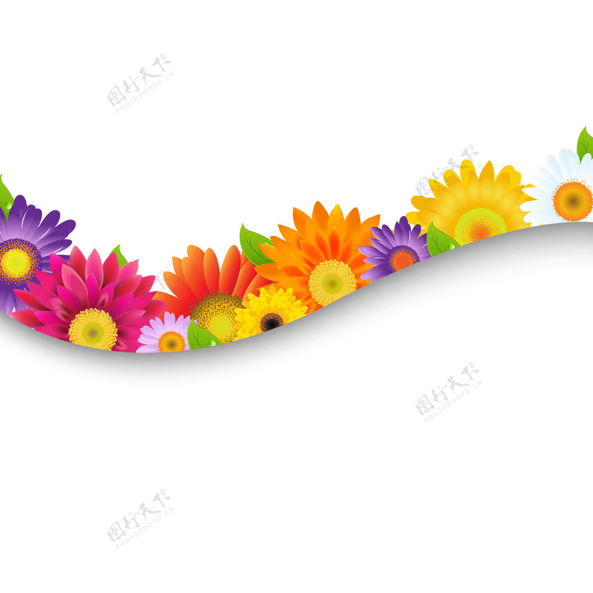 美丽五颜六色的花架植物学拼贴花瓣