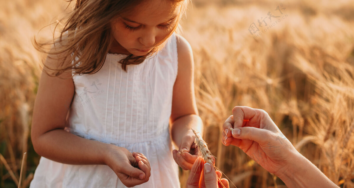 天空日落时分 风吹拂着小女孩的头发 她手里拿着一块麦子 对着麦田的特写镜头户外环境土地