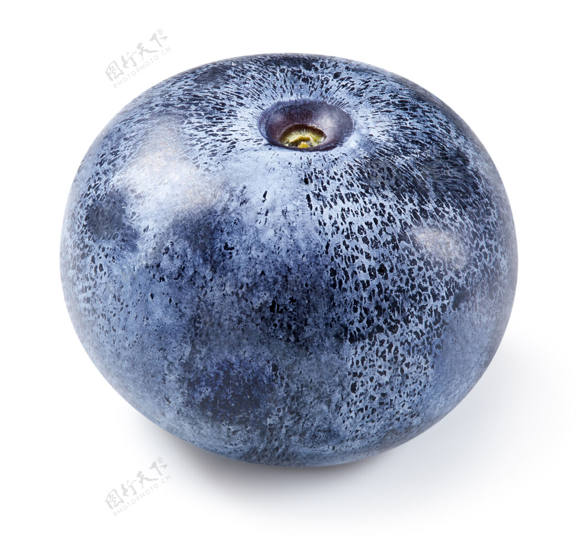 多汁蓝莓隔离白色成熟蓝莓修剪路径药物越橘甜点