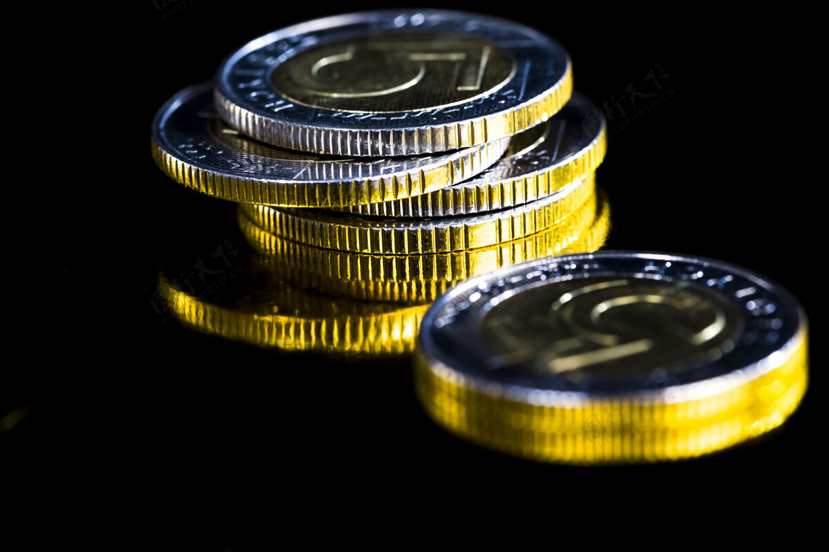 金融波兰兹罗提硬币珍宝形式出售