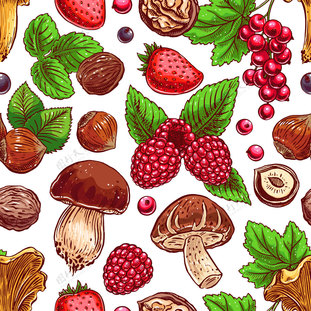 素食可爱的无缝背景与丰富多彩的成熟浆果 坚果和水果蘑菇.手-画图粉色红色覆盆子