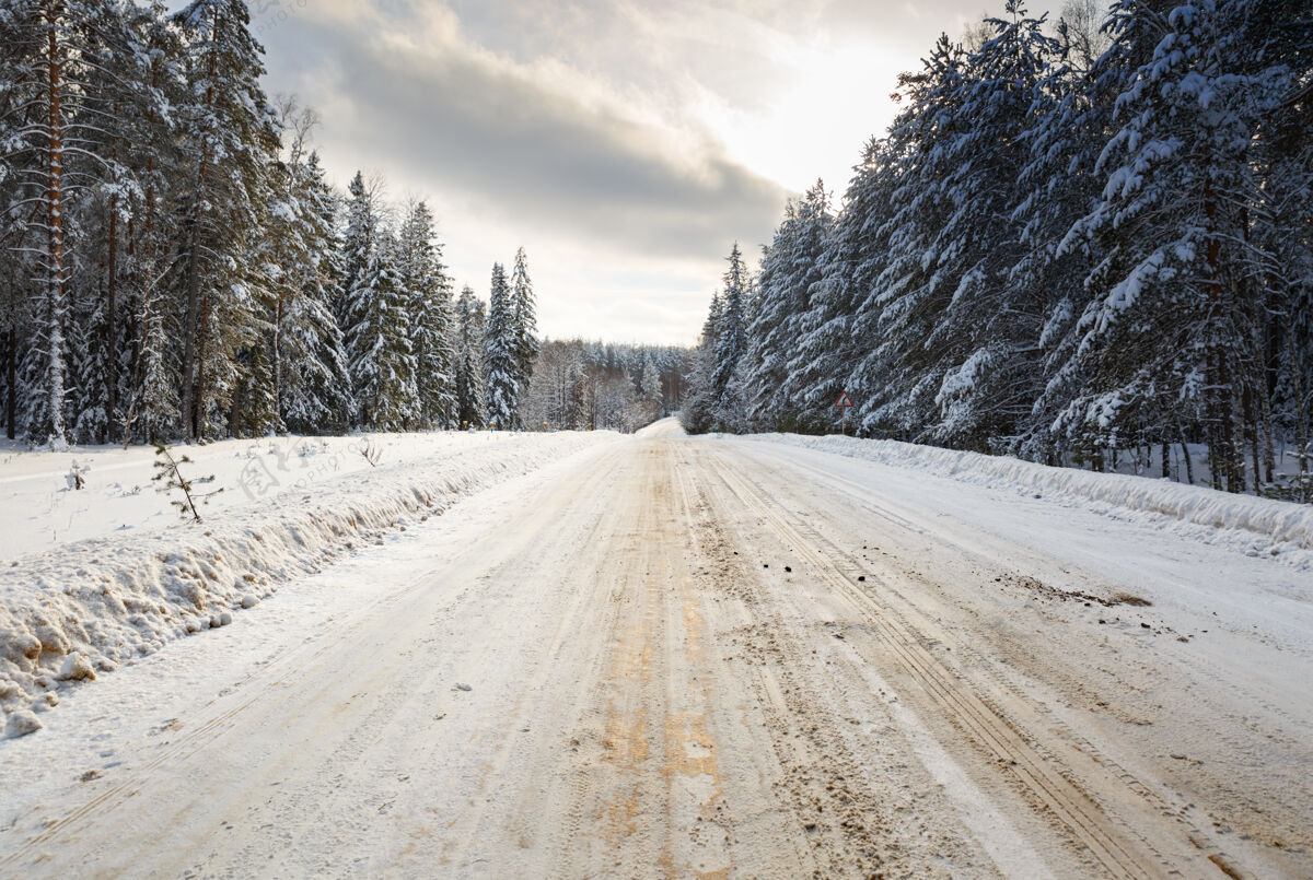 公园冬天的路在冰雪覆盖的森林景观中道路雪场景