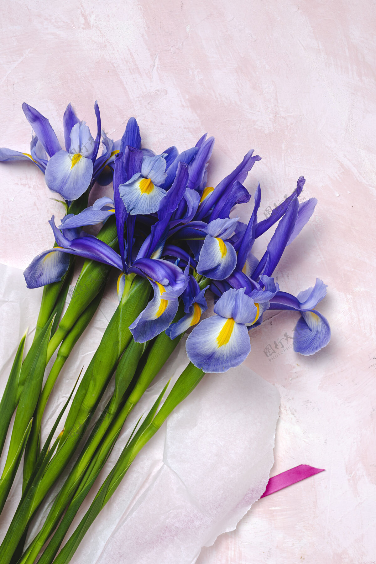 花卉一束蓝色百合花日耳曼语虹膜扁平躺下装饰开花平躺