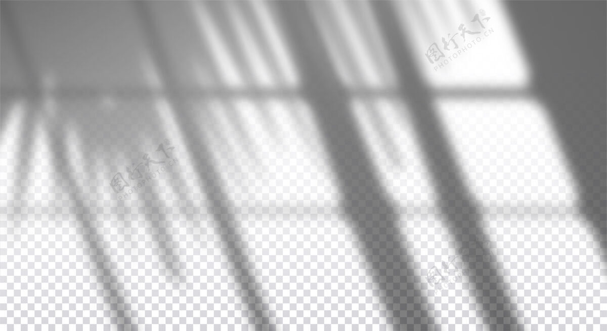 倒影逼真的透明投影与棕榈枝在墙上的窗口 重叠的照片效果棕榈树枝影子