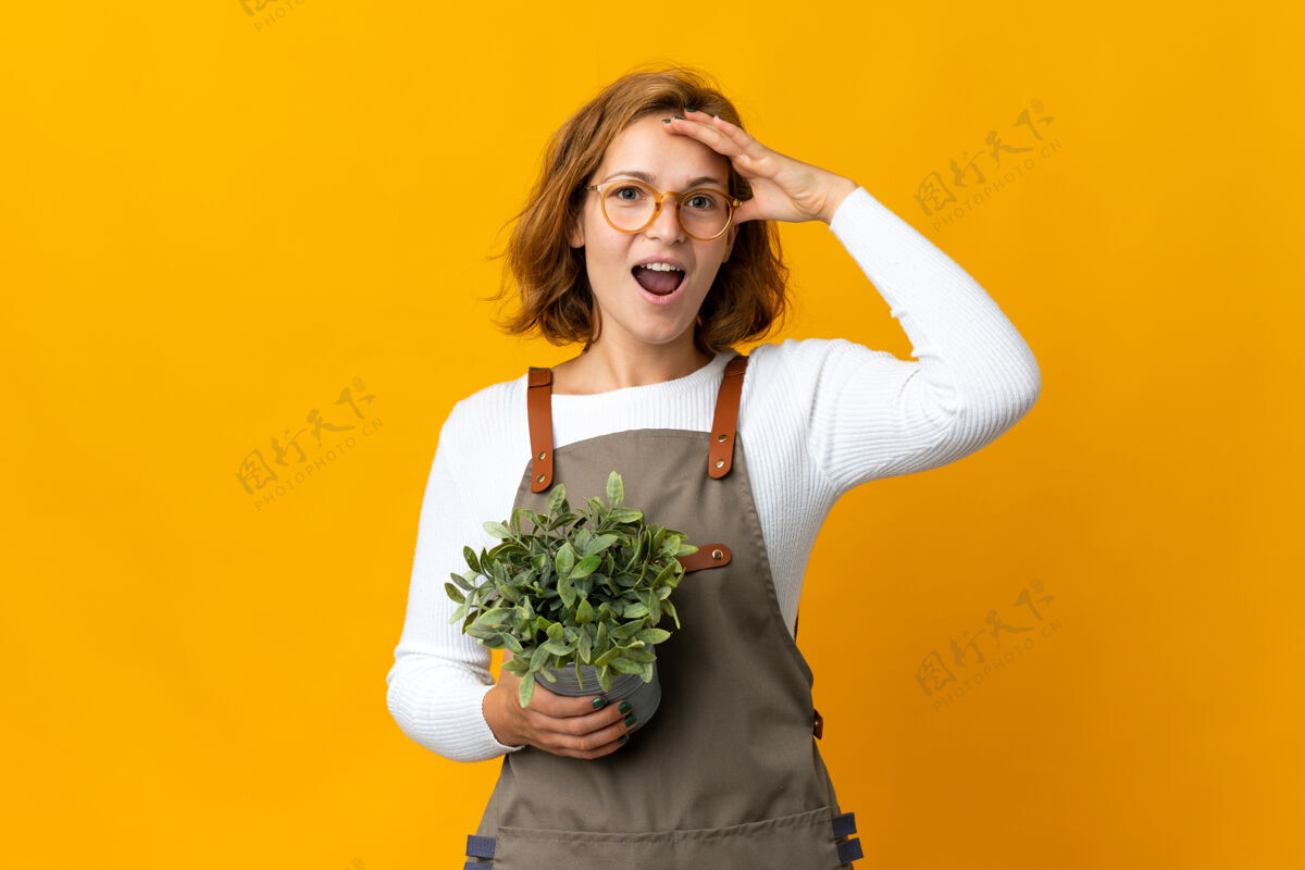 红发年轻的格鲁吉亚妇女拿着隔离在黄色墙上的植物 表情惊讶手势惊人快乐