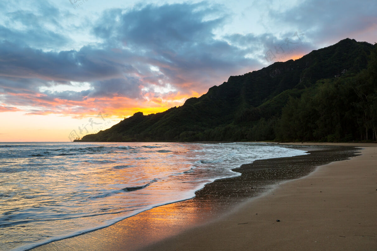 自然令人惊叹的夏威夷海滩美国棕榈异国情调