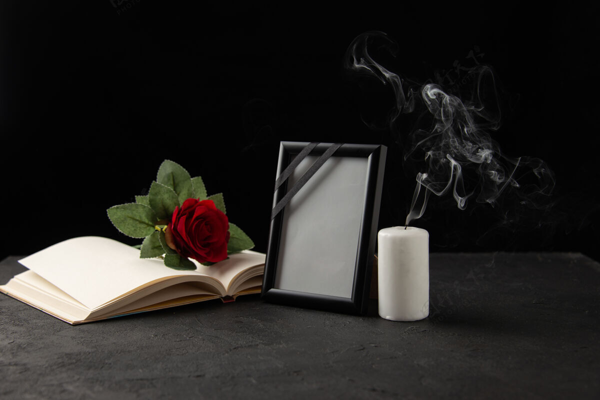 玫瑰红玫瑰的正面图 黑色的书和画框红玫瑰框架花