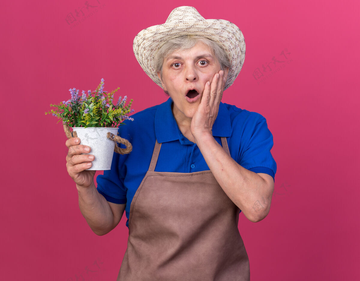 园艺震惊的上了年纪的女园丁戴着园艺帽把手放在脸上 手里拿着花盆拿脸手