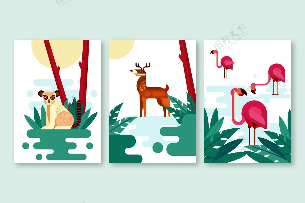 包装平板野生动物封面收藏野生动物封面业务野生动物