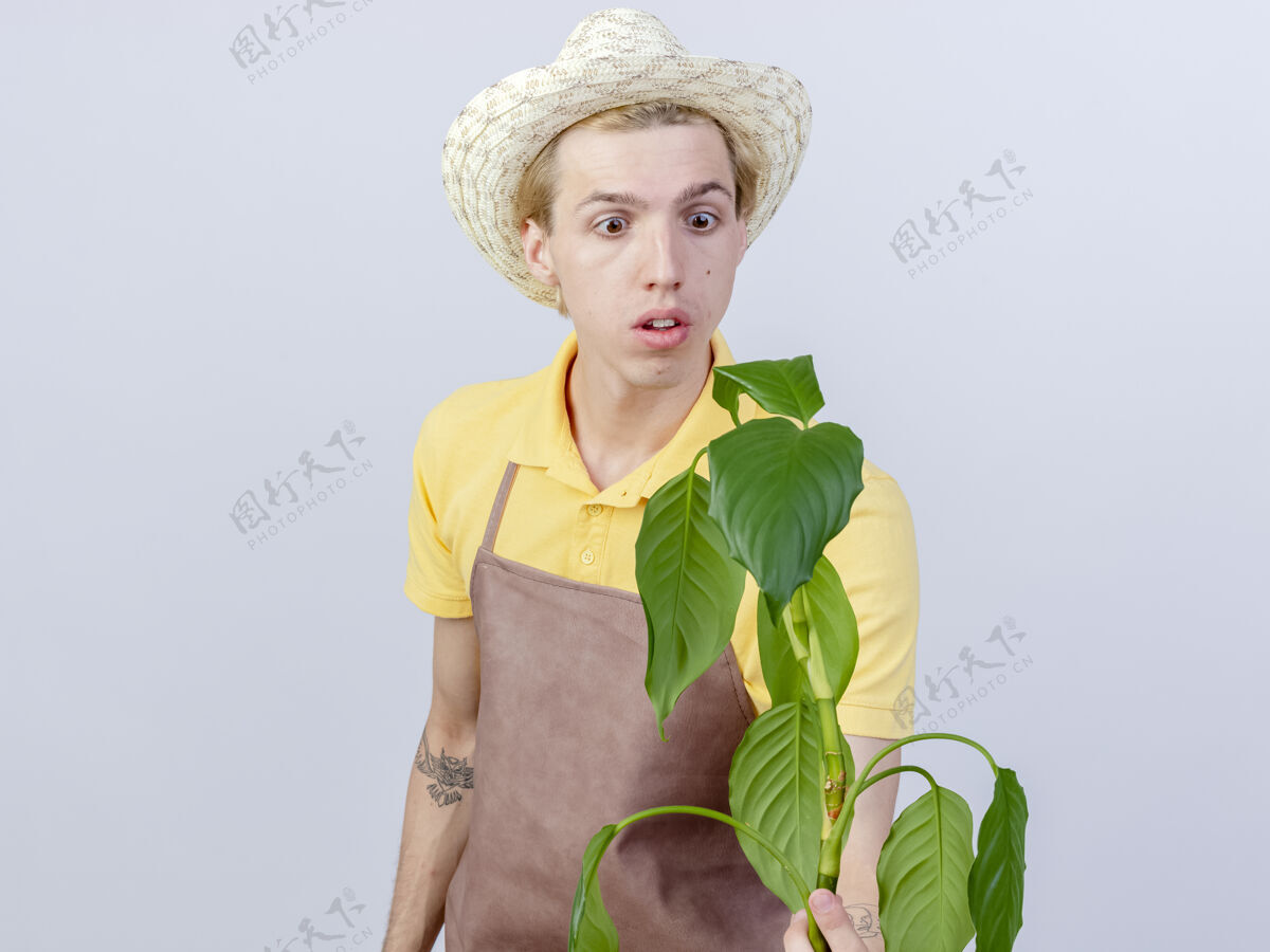 连身衣年轻的园丁穿着连体衣戴着帽子拿着植物看着它困惑帽子穿抱
