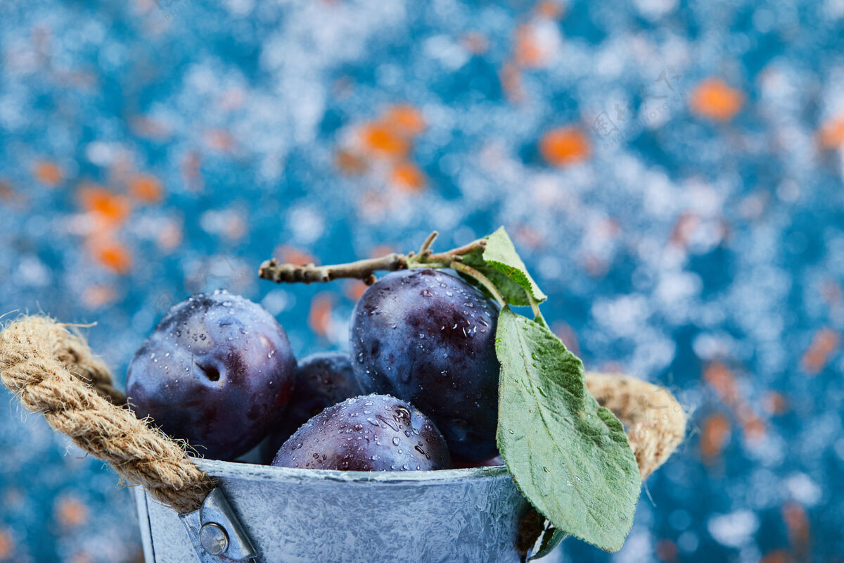 美味一小桶成熟的李子放在蓝色的盘子里收获紫色浆果