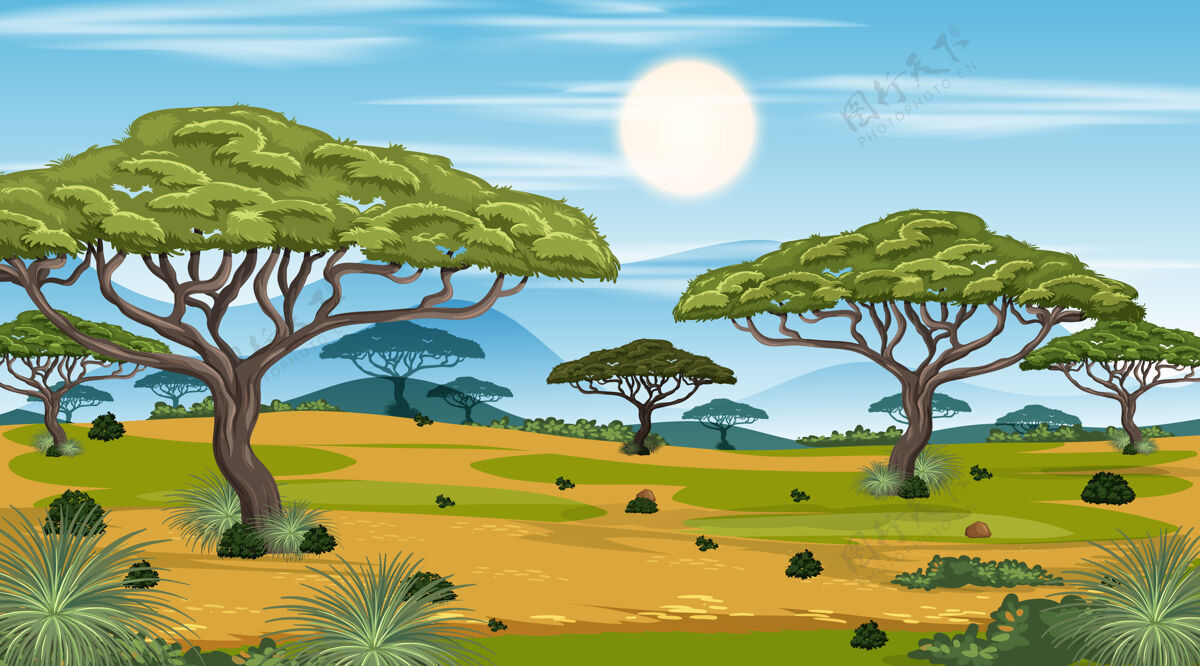 自然白天的非洲稀树草原森林景观草原稀树草原方程式