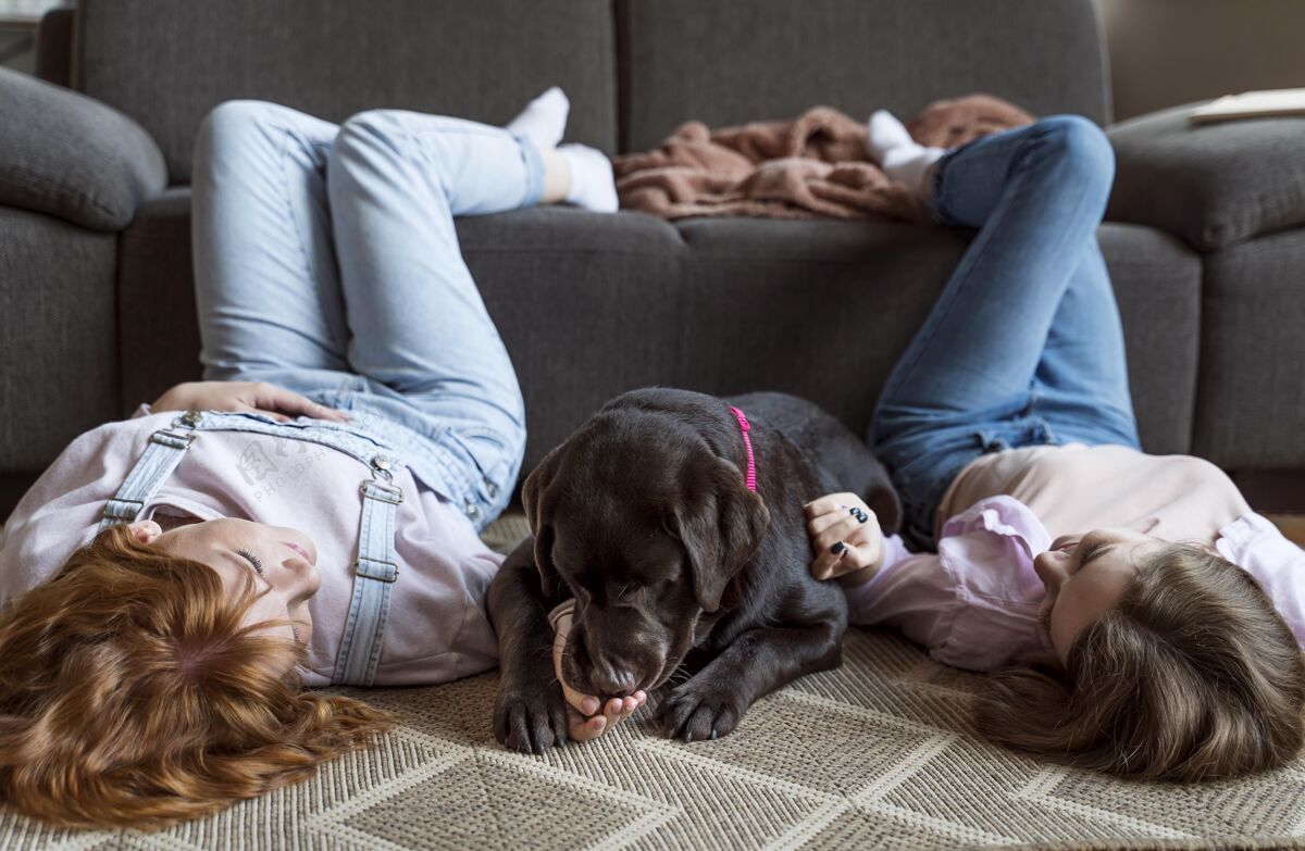 生活方式女人和狗躺在地板上狗在家里全镜头