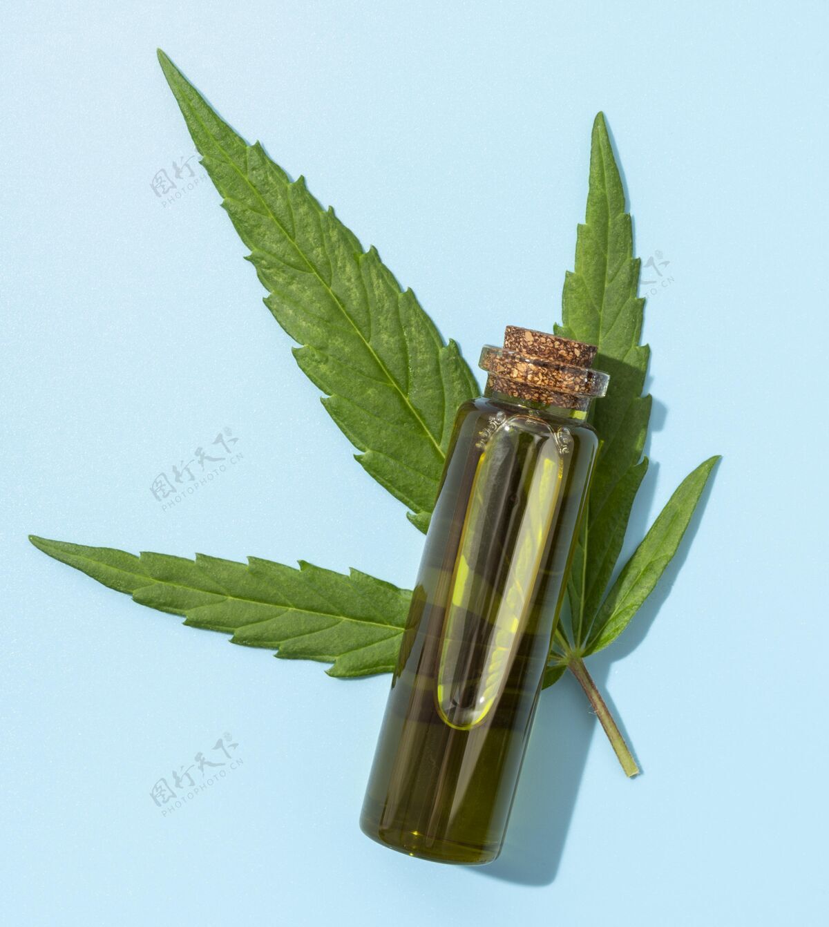 大麻大麻油瓶装置治疗医药产品