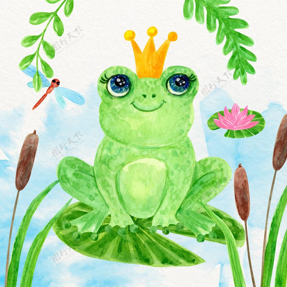 青蛙手绘青蛙插图水彩画野生动物自然