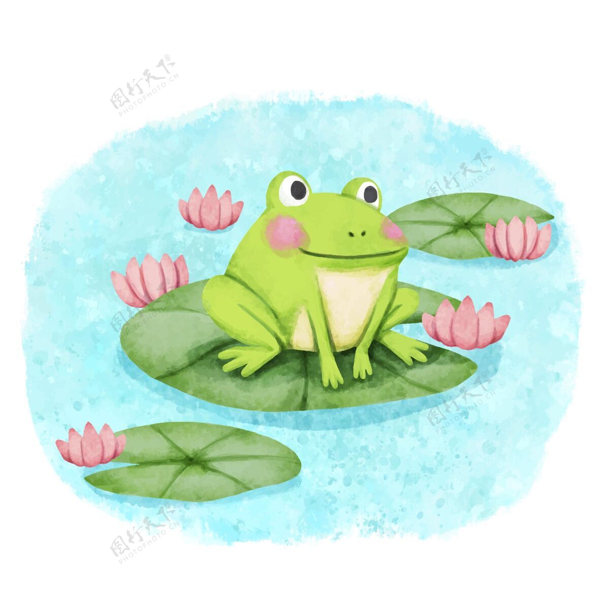 自然手绘可爱青蛙插图小动物可爱