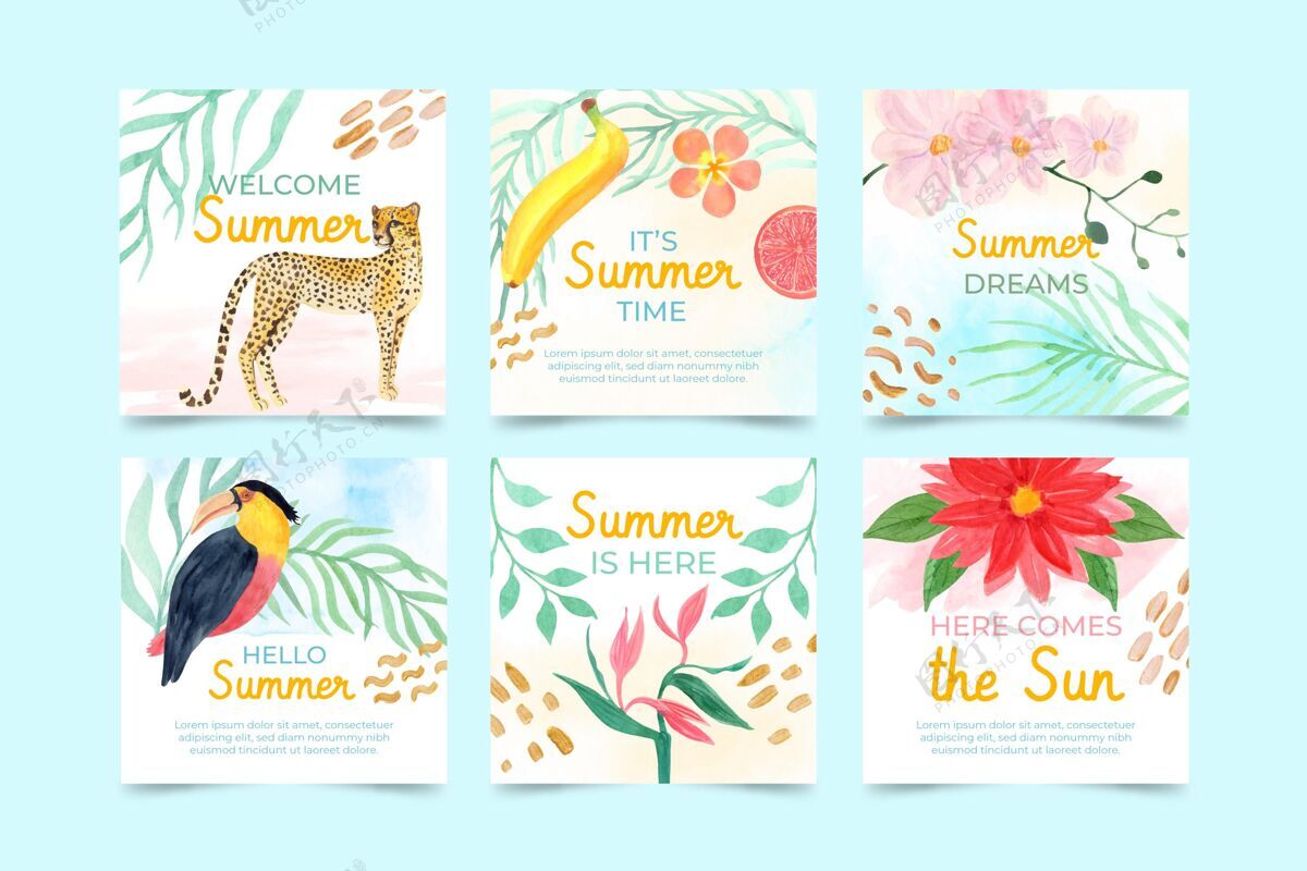 夏季模板手绘水彩画夏季instagram帖子集收藏社交媒体帖子分类