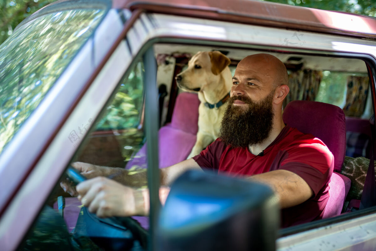 国内高加索男性骑着他的车和他的金毛猎犬汽车微笑金毛猎犬