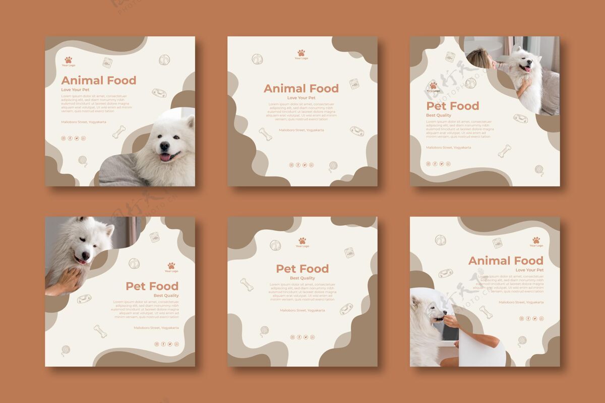 健康动物食品instagram帖子美味营养动物