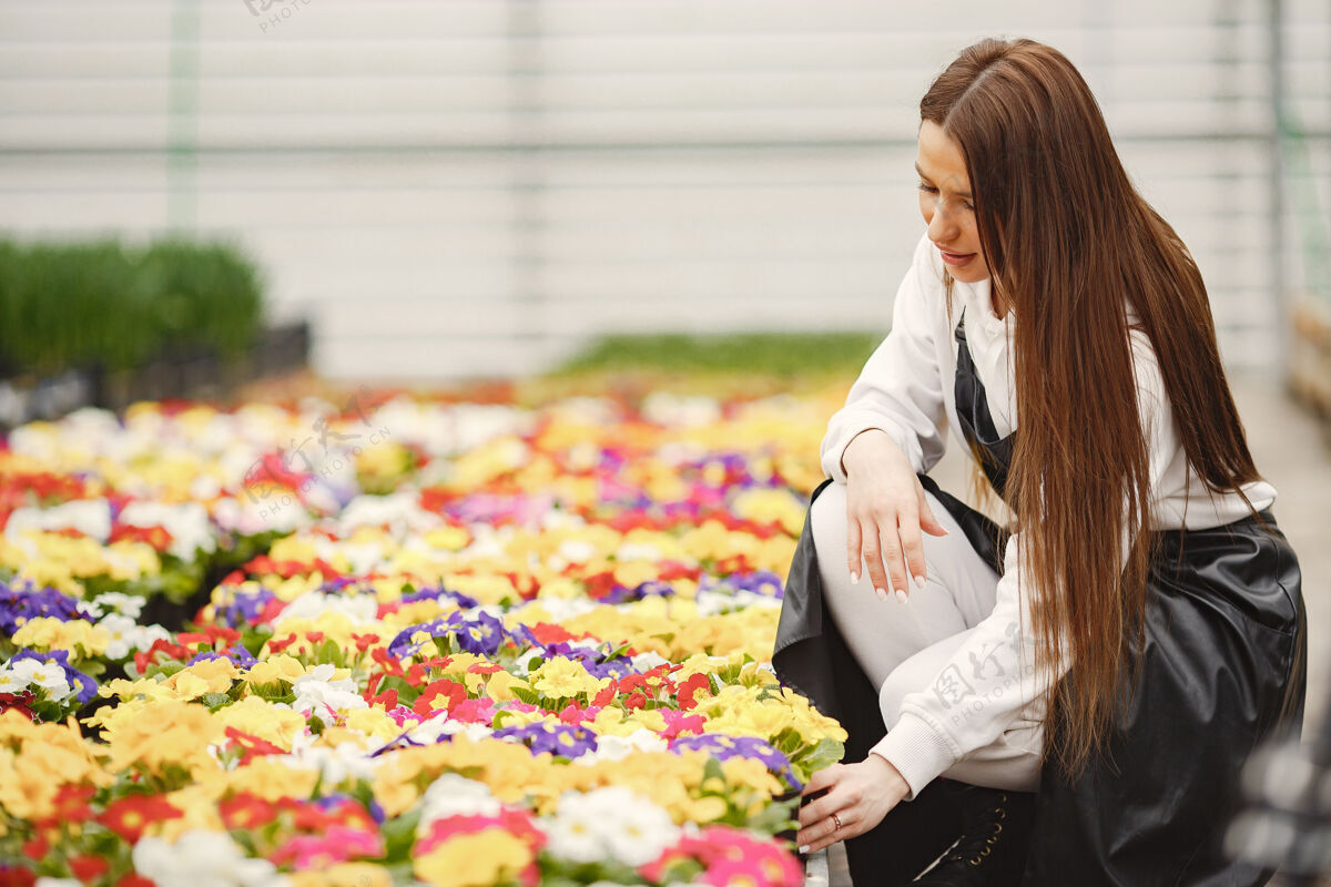 专业在温室里拿着花的女孩围裙里的园丁鲜花护理女性植物学工作