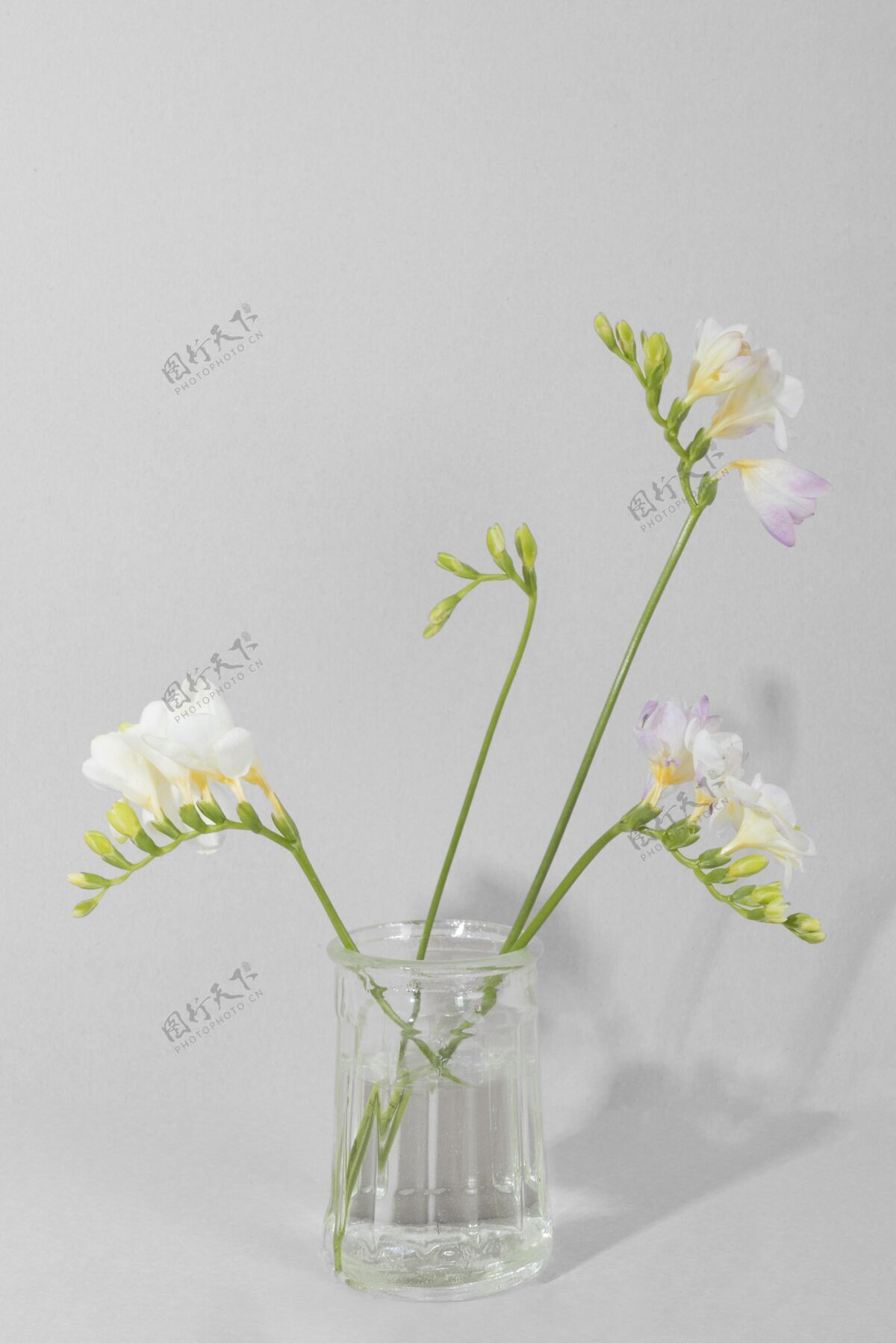 花在桌上的花瓶里开花花叶叶子
