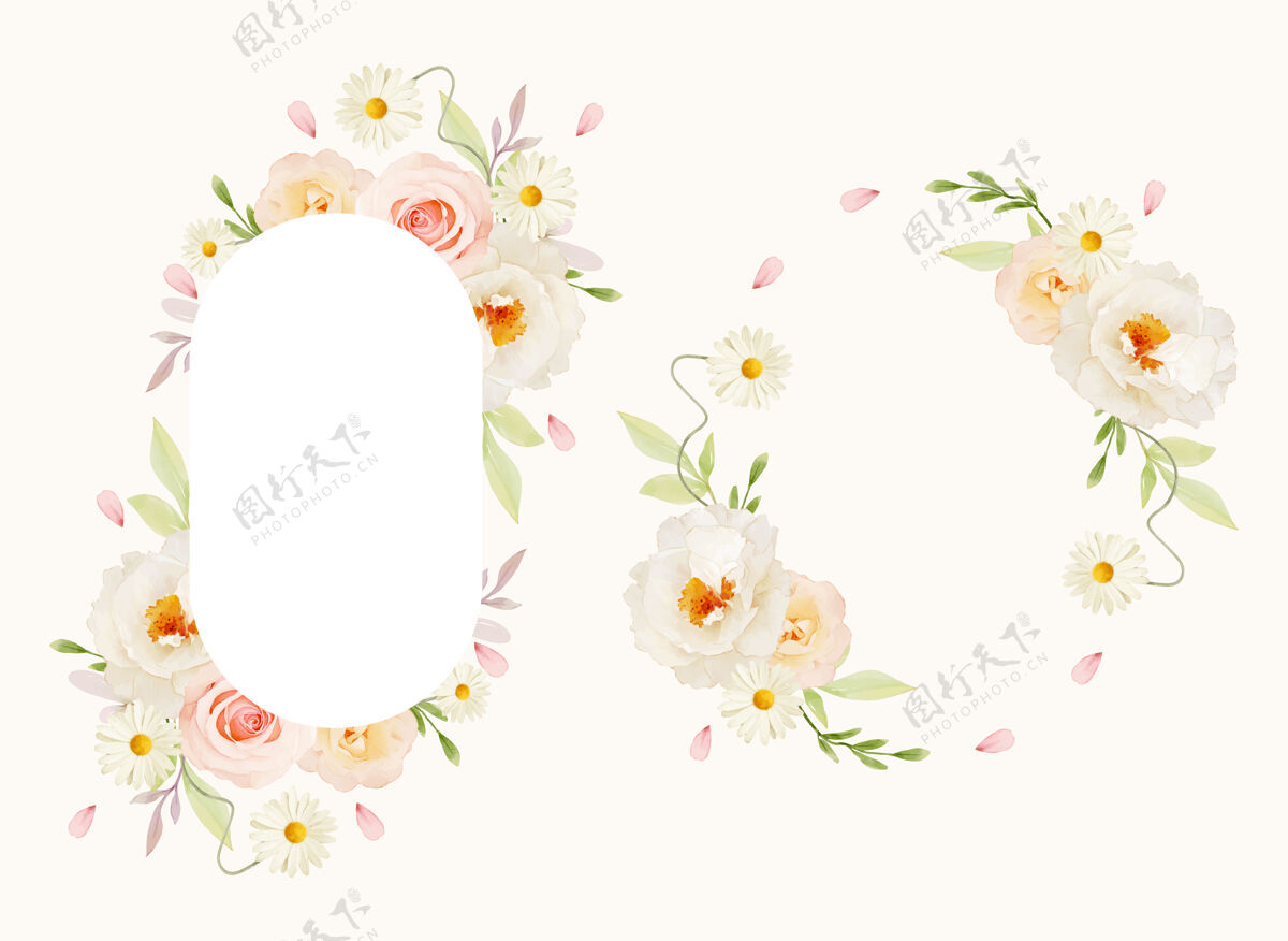 画框美丽的花卉框架与水彩粉红玫瑰和白色牡丹爱情花卉花卉