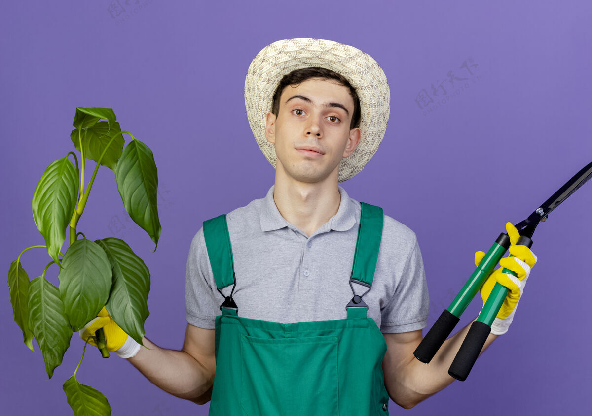 年轻自信的年轻男性园丁戴着园艺帽和手套拿着植物和剪子手套园艺紫色