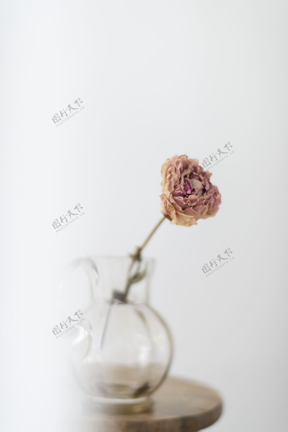 木椅在一间白色的房间里 把牡丹花放在木凳上的玻璃罐里晾干花卉玻璃水壶花朵