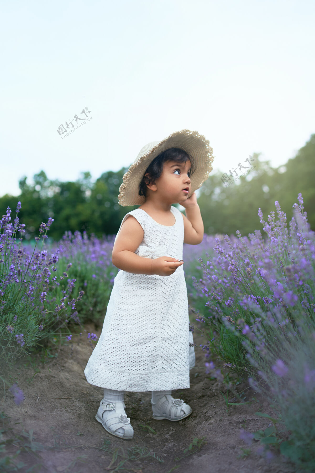 可爱可爱的小女孩在薰衣草地里摆姿势孩子蹒跚学步帽子