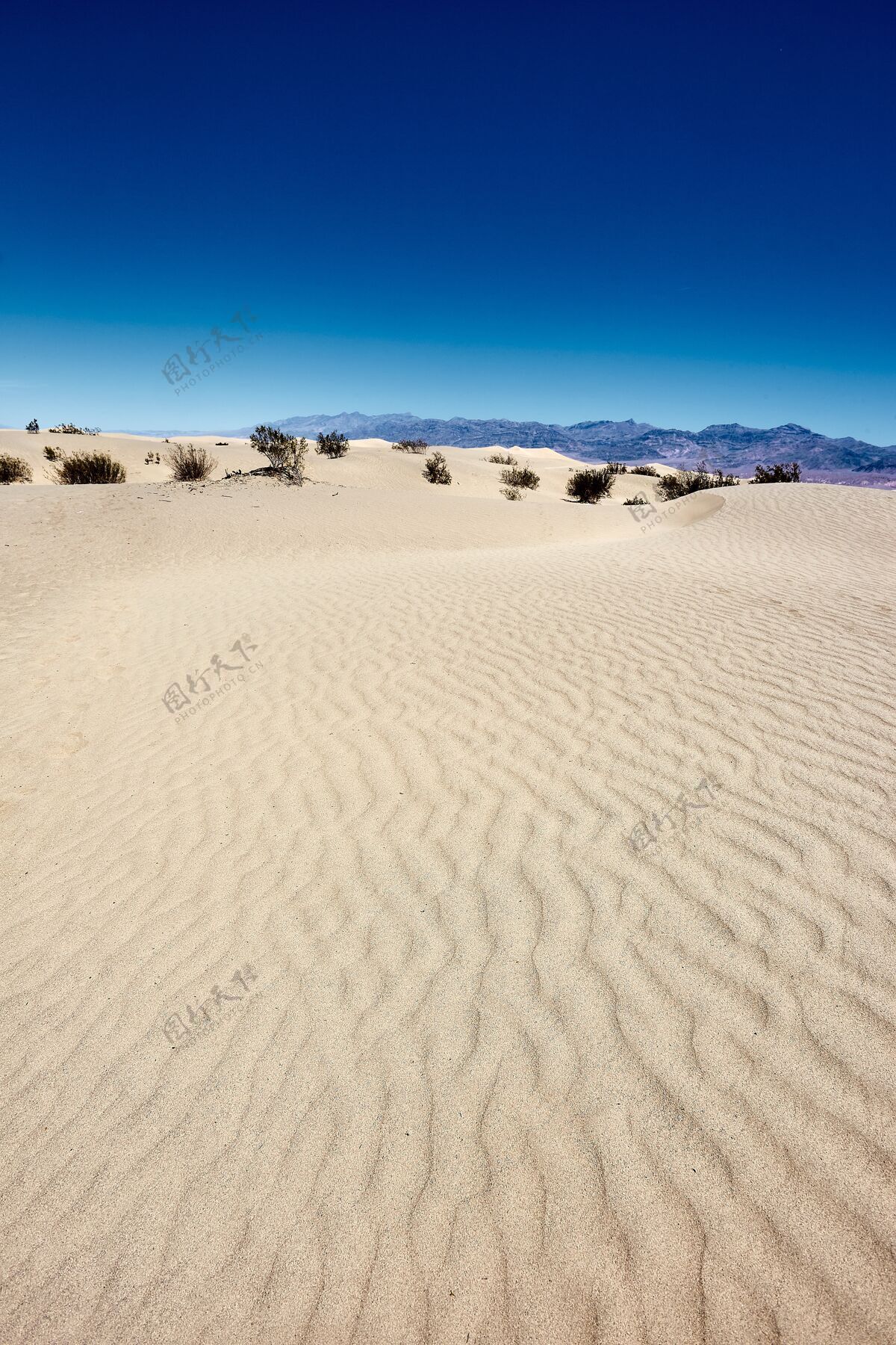 天空阳光明媚的风景梅斯基特平坦的沙丘在死亡谷国家公园 加利福尼亚州-美国石头平坦干旱