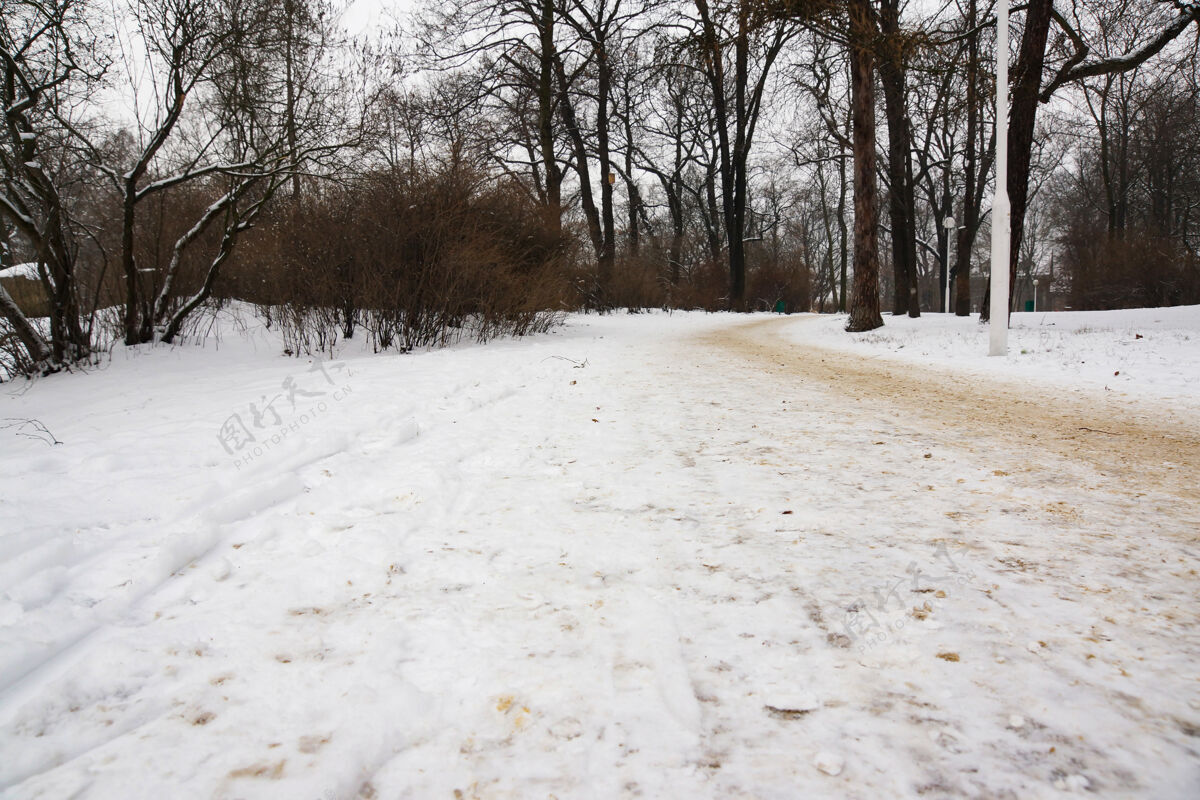 景观在冬天 公园的道路和被雪覆盖的树木的美丽景色寒冷冰冻季节