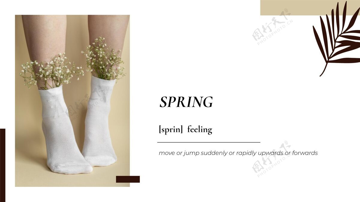 花卉极简花卉照片春季桌面壁纸季节春天极简主义