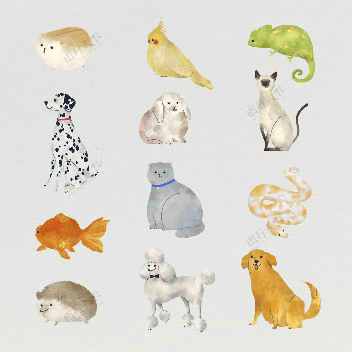 好动物绘画收藏刺猬绘画可爱