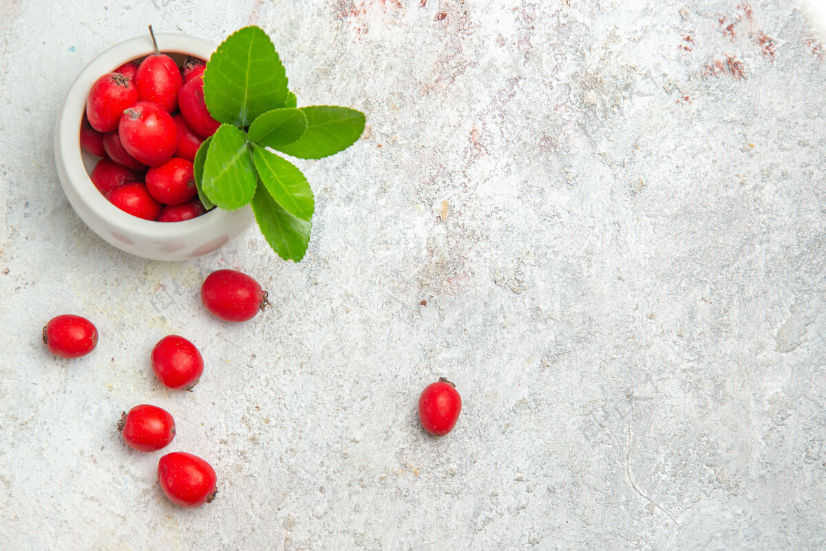 红色水果俯瞰红色水果上的白表浆果红色水果浆果灌木食品