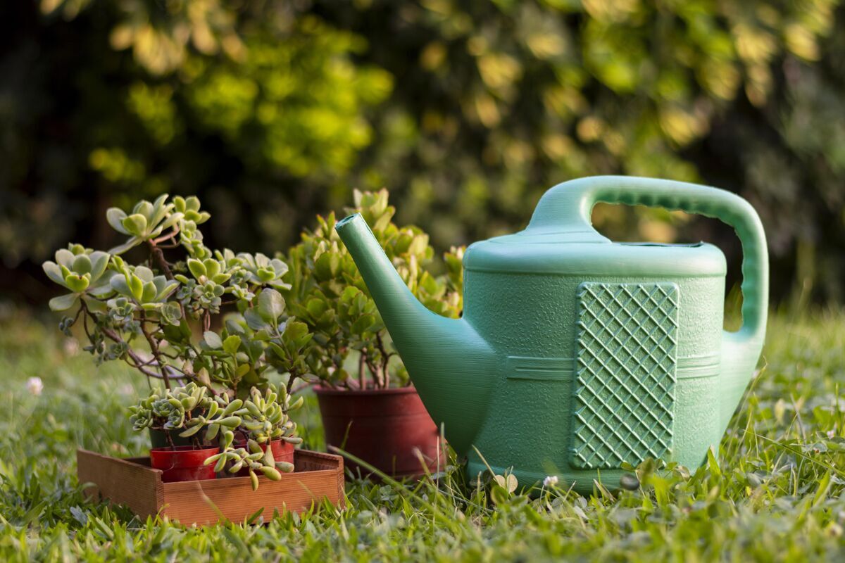特写用水壶浇花家里的花园园艺工具水壶