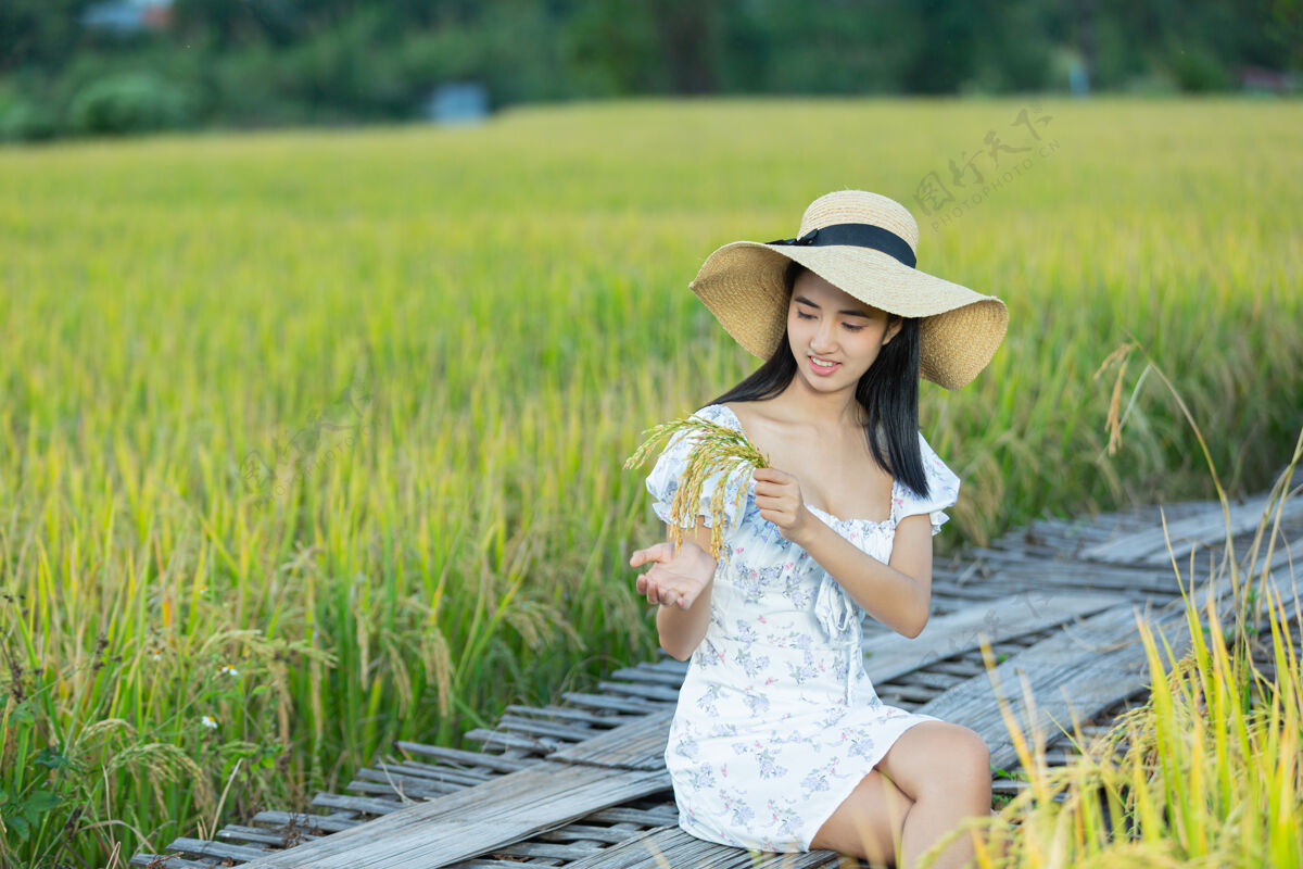年轻女孩美丽的亚洲女人在稻田里尽情享受稻田清洁提高