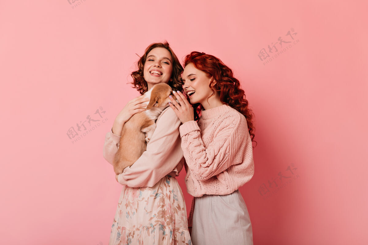 女性工作室拍摄的两个朋友和狗卷发女孩玩的粉红色背景小狗孤立的粉红色小狗时尚