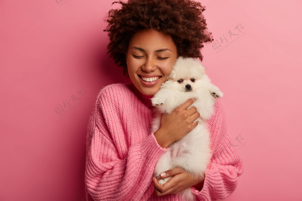 业主卷曲的年轻女子怀着爱拥抱着白色的斯皮茨 很高兴得到她梦想的礼物 穿着超大的套头衫 粉色背景下的模特们狗编织宠物