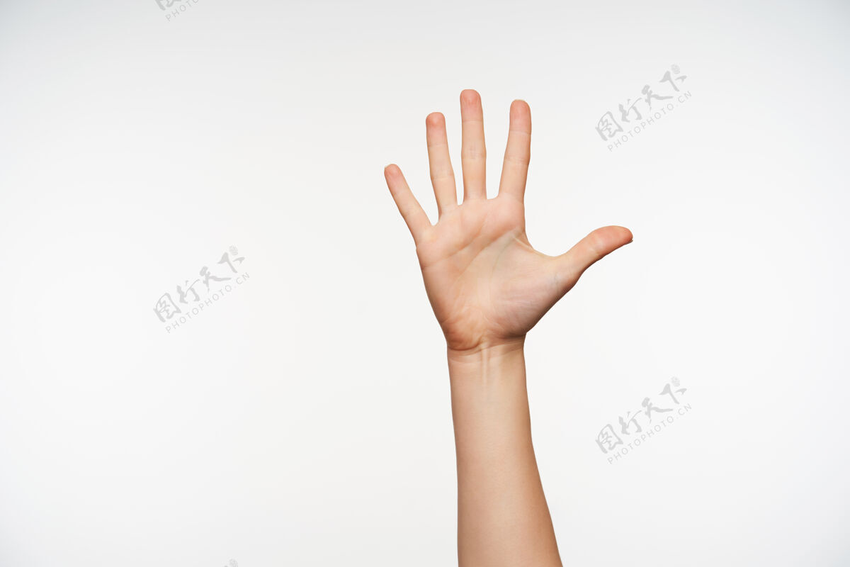 皮肤特写在妇女举起的手显示手掌和保持所有手指分开符号站手势
