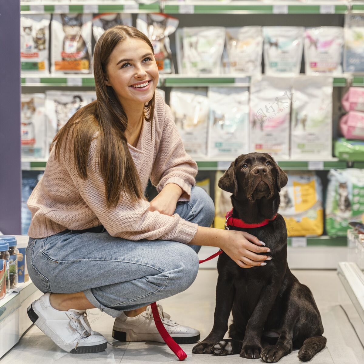 客户可爱的狗和女主人在宠物店商店消费动物
